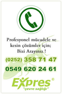 Expres �evre&reg; - Profosyonel Ha�ere, b�cek ve zararl� ila�lama. Mu�la, Bodrum- 0252 358 71 47